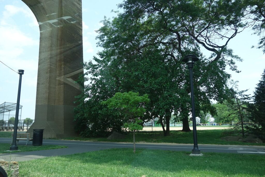 Central Park Renovation Moves Into Its Second Phase renovated pathway in city park